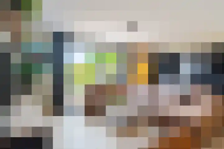 Van Veendijk 48 Den Haag thumbnail 12