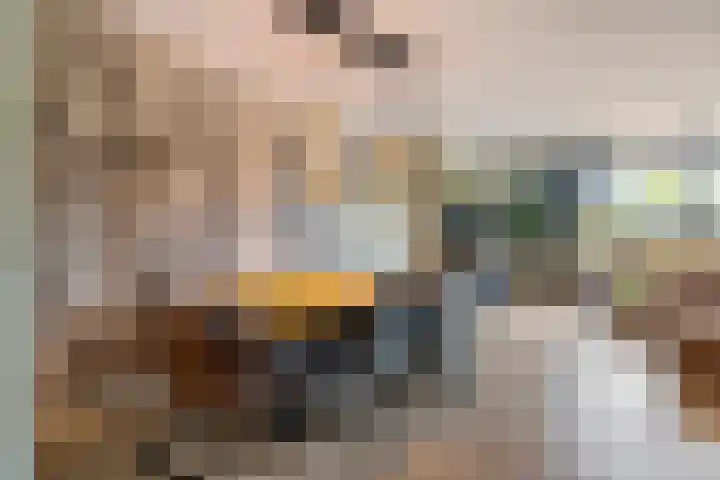 Van Veendijk 48 Den Haag thumbnail 18