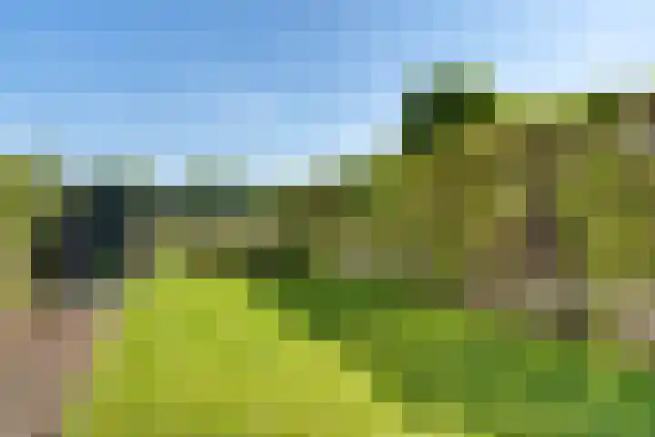 Van Veendijk 48 Den Haag thumbnail 28