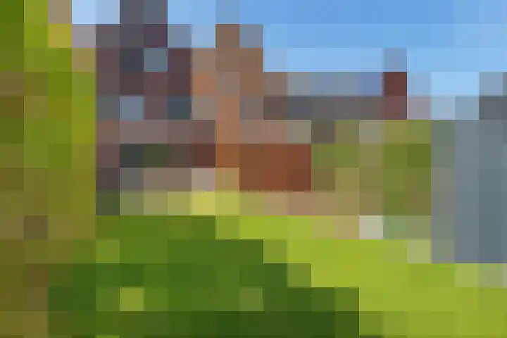 Van Veendijk 48 Den Haag thumbnail 29