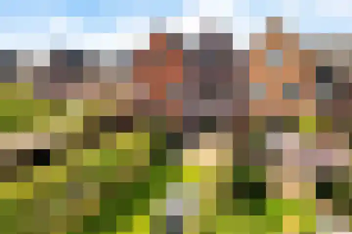 Van Veendijk 48 Den Haag thumbnail 30