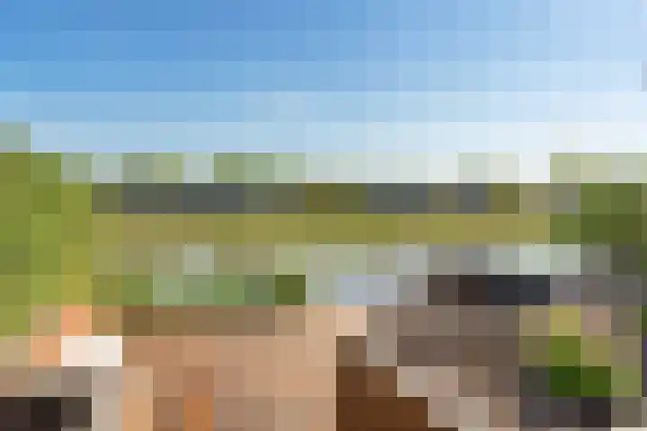 Van Veendijk 48 Den Haag thumbnail 32