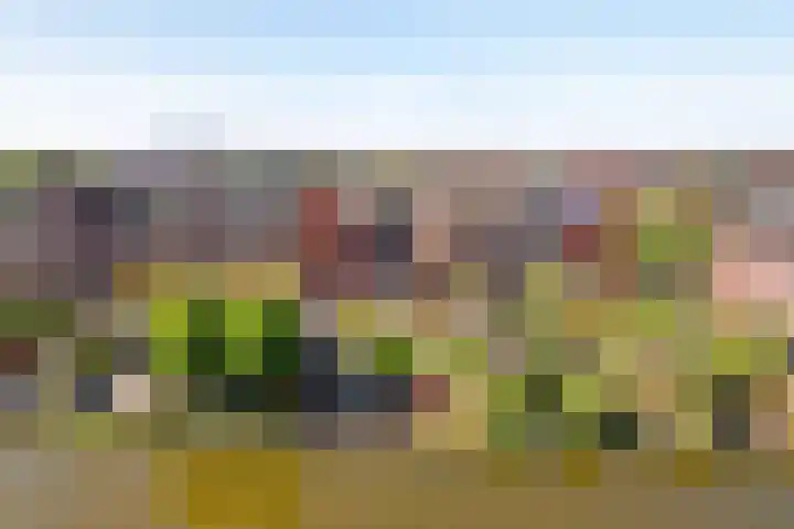 Van Veendijk 48 Den Haag thumbnail 34