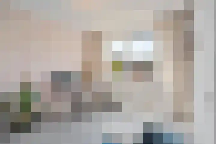 Van Veendijk 48 Den Haag thumbnail 47