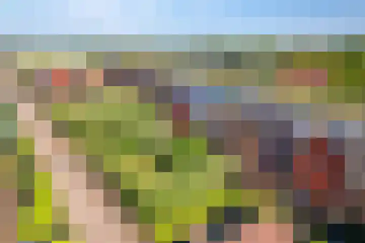 Van Veendijk 48 Den Haag thumbnail 5
