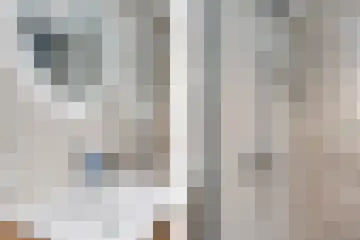 Van Veendijk 48 Den Haag thumbnail 59