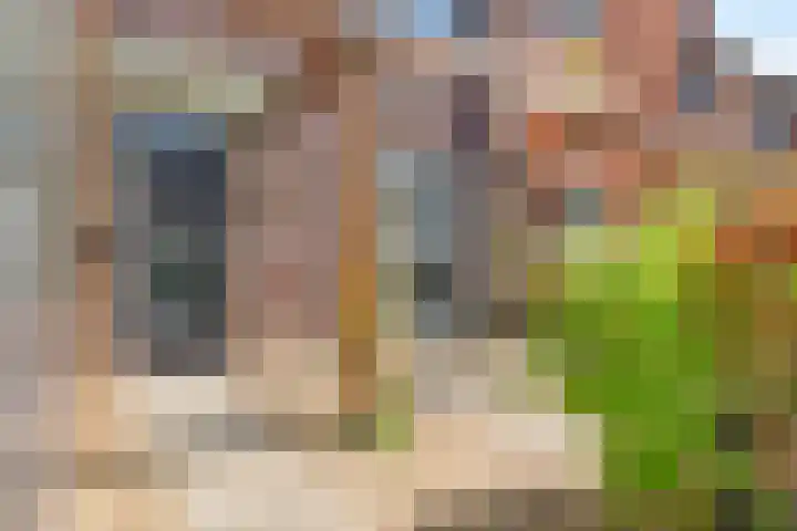 Van Veendijk 48 Den Haag thumbnail 6