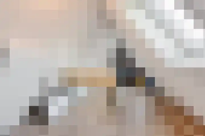 Van Veendijk 48 Den Haag thumbnail 66