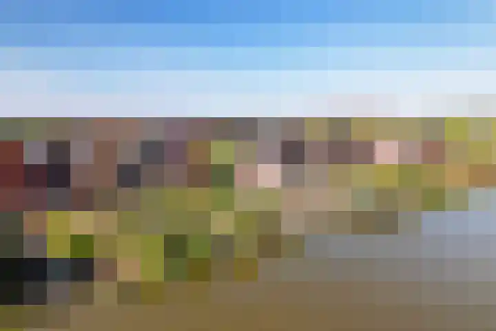 Van Veendijk 48 Den Haag thumbnail 67
