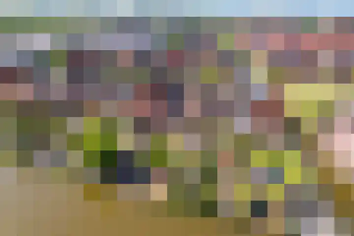 Van Veendijk 48 Den Haag thumbnail 68