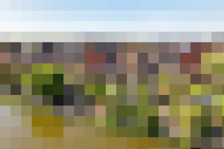 Van Veendijk 48 Den Haag thumbnail 69
