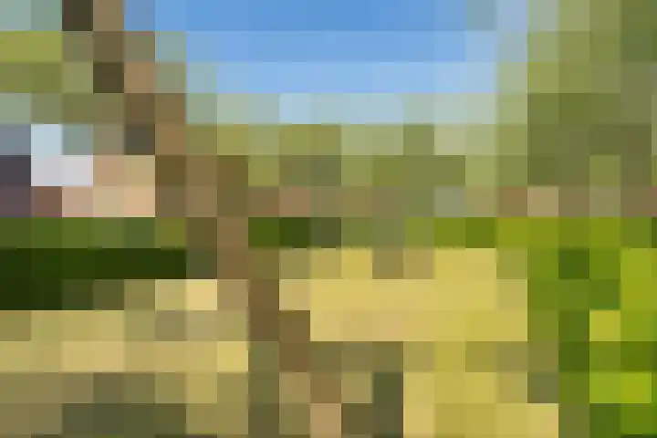 Van Veendijk 48 Den Haag thumbnail 70