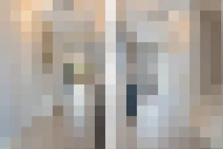 Van Veendijk 48 Den Haag thumbnail 8