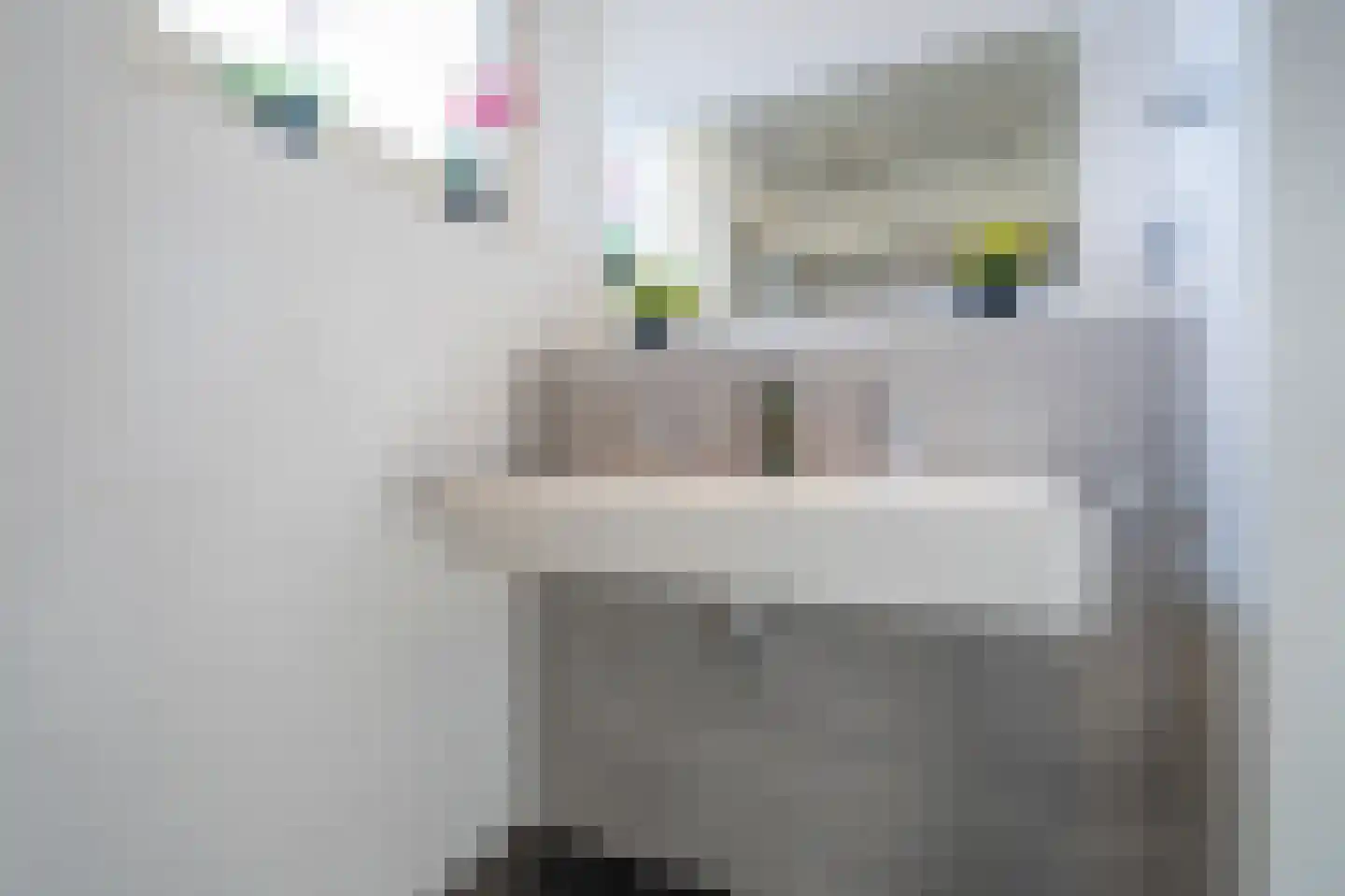 Van Veendijk 49 Den Haag thumbnail 29