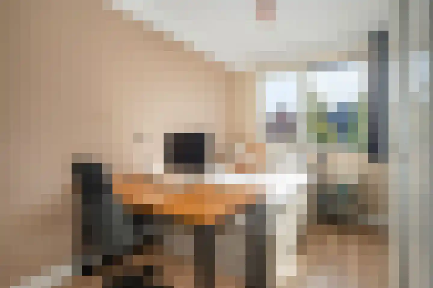 Van Veendijk 49 Den Haag thumbnail 30