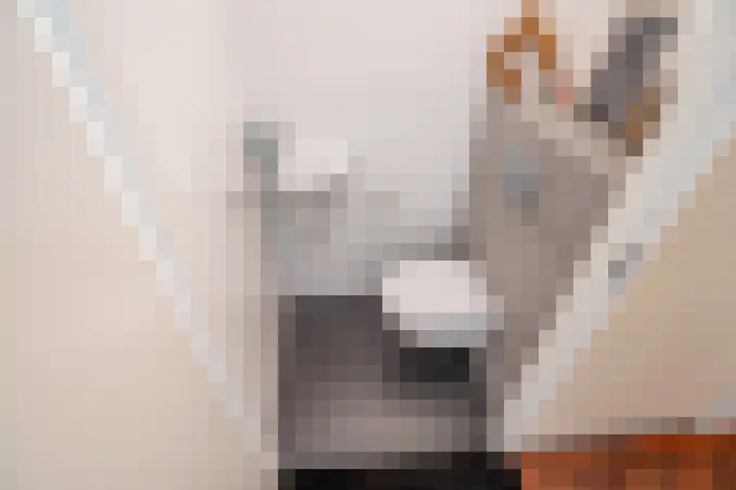 Van Veendijk 49 Den Haag thumbnail 8