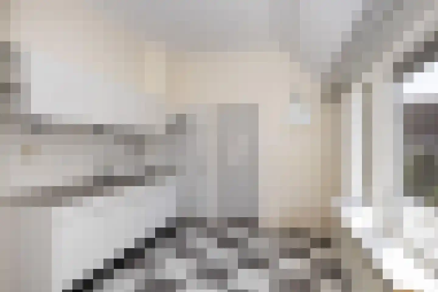 Van Veenstraat 6 Hoogersmilde thumbnail 6