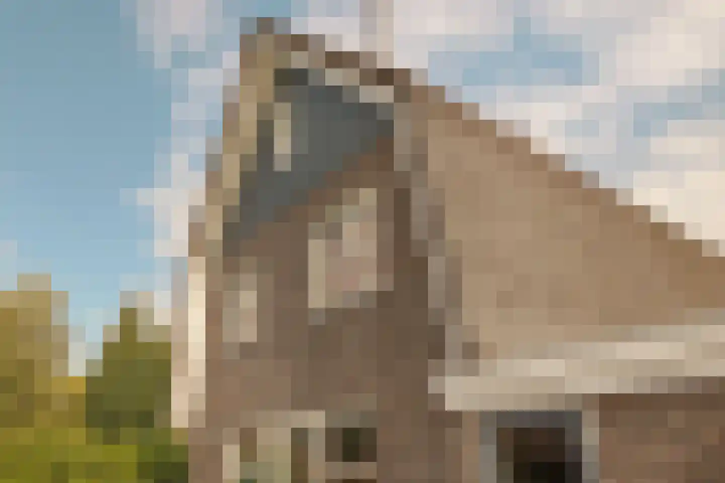 van Veenweg 134 A Heerhugowaard thumbnail 7