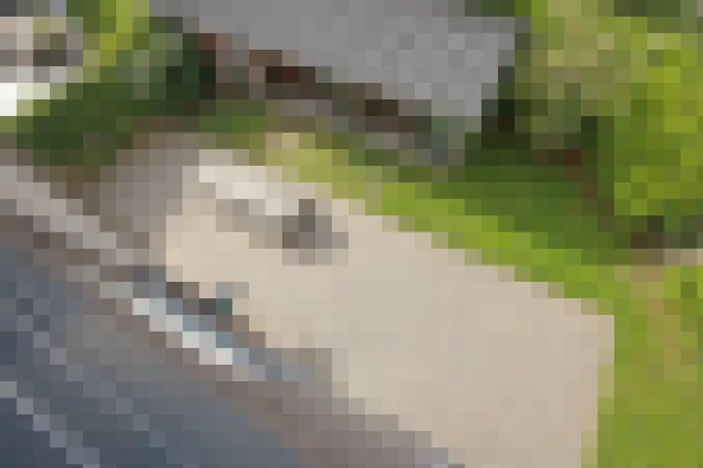 van Veenweg 134 A Heerhugowaard thumbnail 71