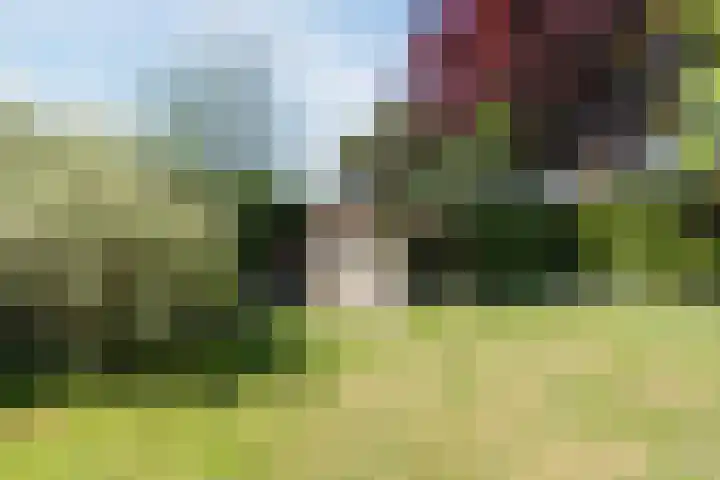 van Veenweg 82 Heerhugowaard thumbnail 31