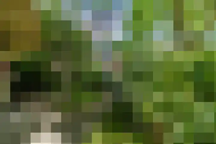 van Veenweg 82 Heerhugowaard thumbnail 33