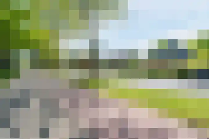 van Veenweg 82 Heerhugowaard thumbnail 39