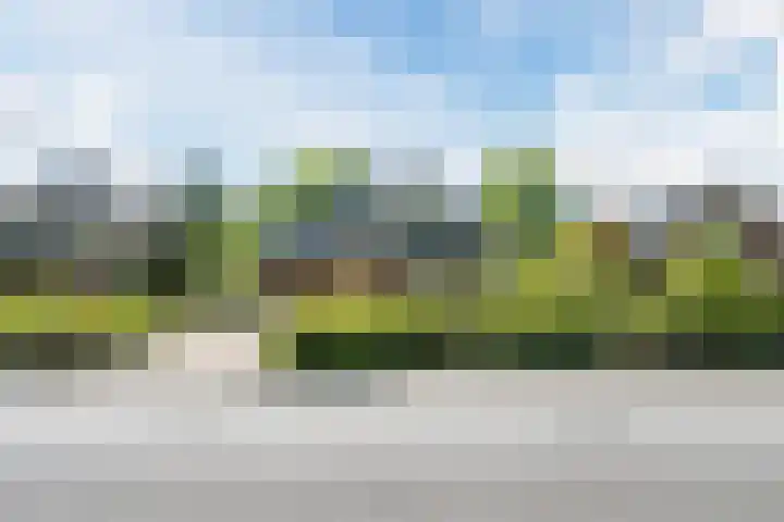 van Veenweg 82 Heerhugowaard thumbnail 44