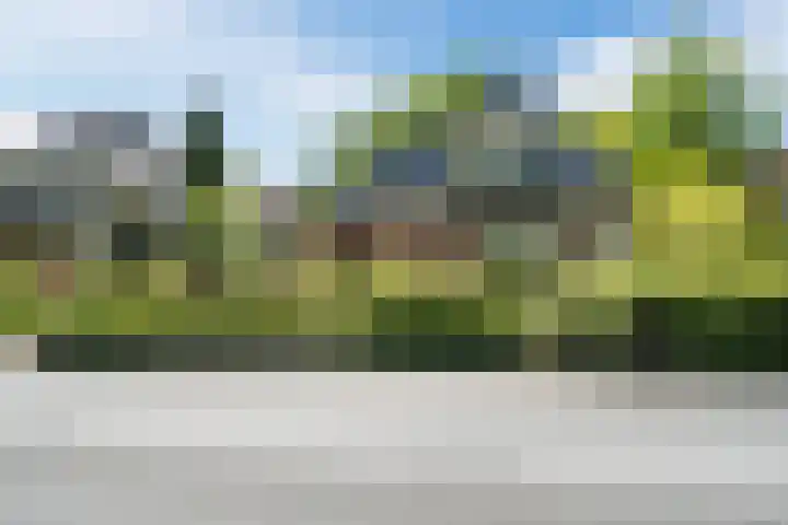 van Veenweg 82 Heerhugowaard thumbnail 45