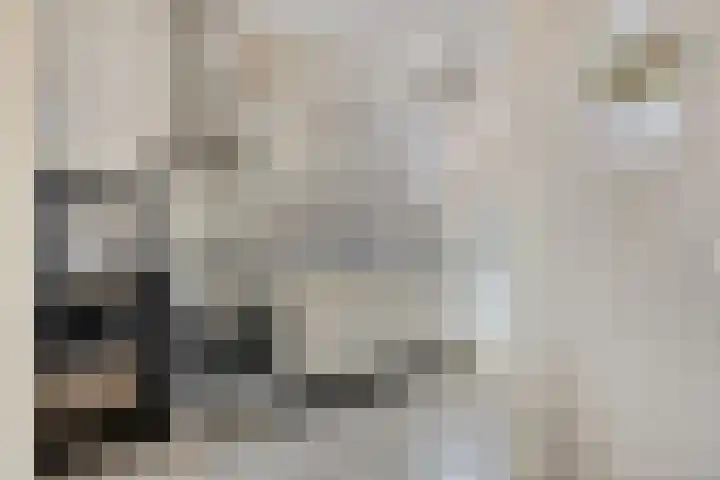 Van Vegcheltstraat 17 Maasbree thumbnail 10