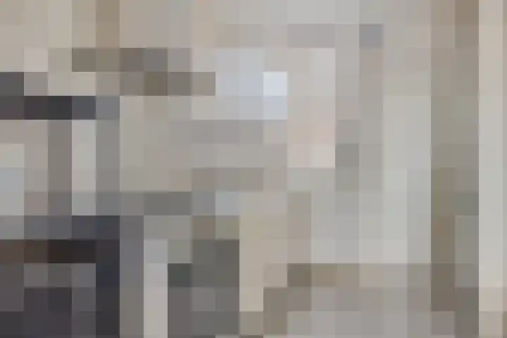 Van Vegcheltstraat 17 Maasbree thumbnail 11