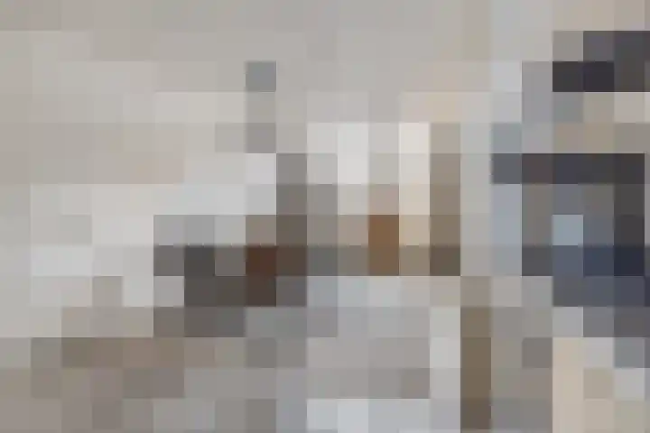 Van Vegcheltstraat 17 Maasbree thumbnail 12