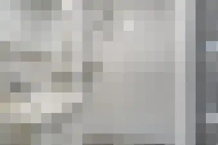 Van Vegcheltstraat 17 Maasbree thumbnail 17