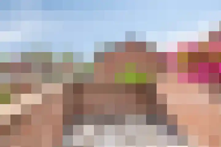 Van Vegcheltstraat 17 Maasbree thumbnail 23