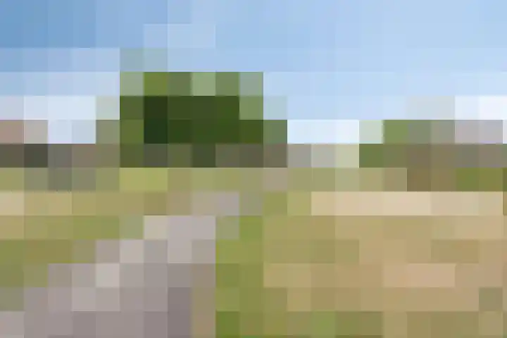 Van Vegcheltstraat 17 Maasbree thumbnail 24