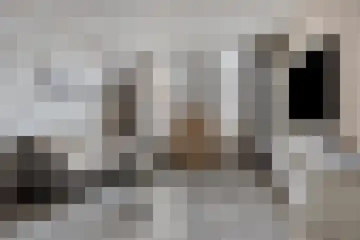 Van Vegcheltstraat 17 Maasbree thumbnail 6