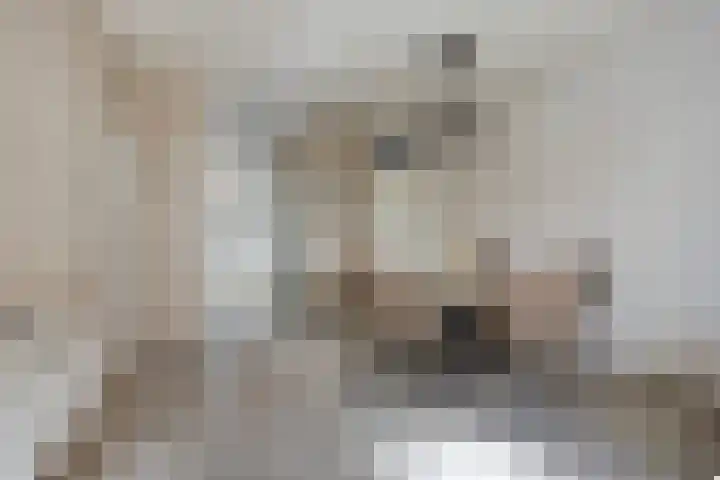 Van Vegcheltstraat 17 Maasbree thumbnail 8