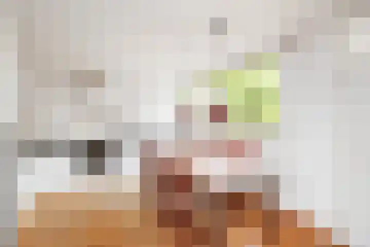 Van Vegtenplantsoen 7 Koudekerk aan den Rijn thumbnail 11