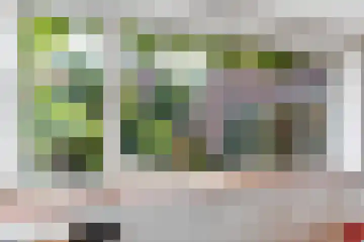 Van Vegtenplantsoen 7 Koudekerk aan den Rijn thumbnail 12
