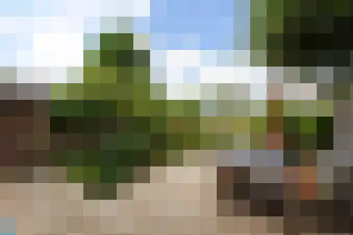 Van Vegtenplantsoen 7 Koudekerk aan den Rijn thumbnail 18