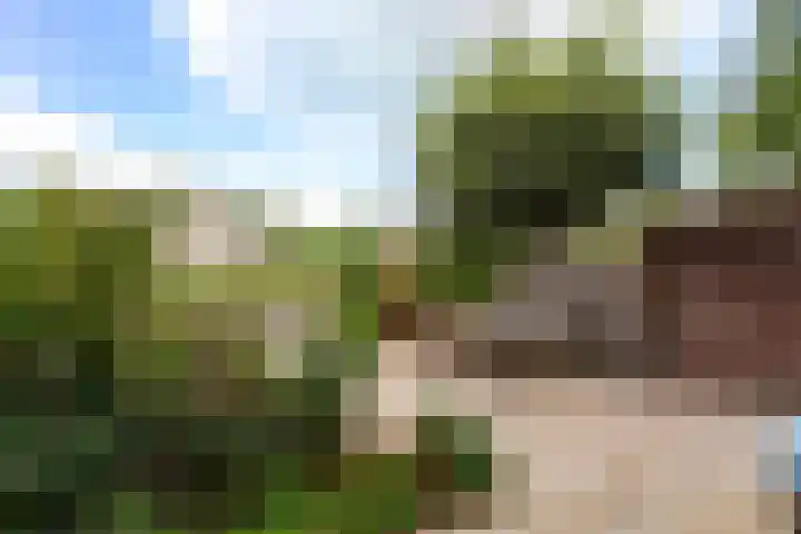 Van Vegtenplantsoen 7 Koudekerk aan den Rijn thumbnail 19