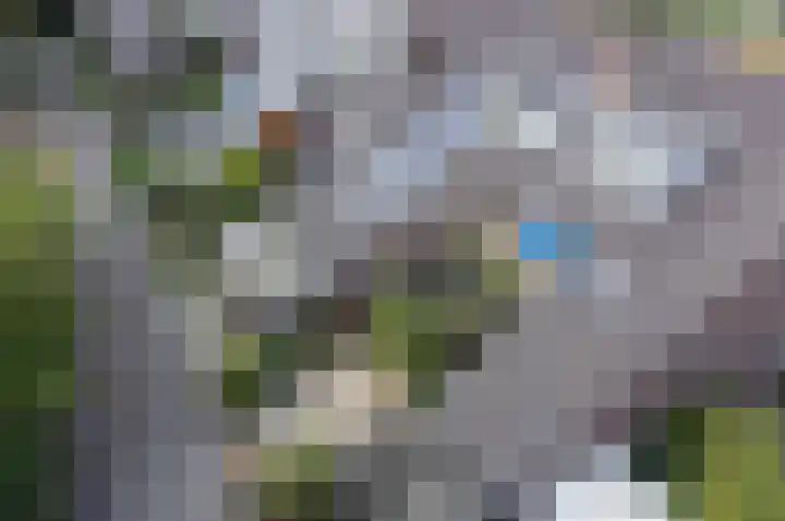 Van Vegtenplantsoen 7 Koudekerk aan den Rijn foto 2