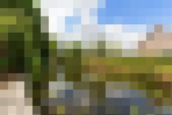 Van Vegtenplantsoen 7 Koudekerk aan den Rijn thumbnail 22