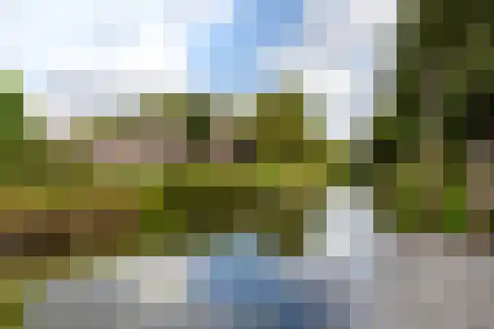 Van Vegtenplantsoen 7 Koudekerk aan den Rijn thumbnail 23