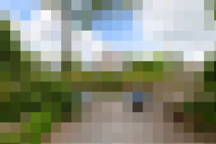 Van Vegtenplantsoen 7 Koudekerk aan den Rijn thumbnail 25