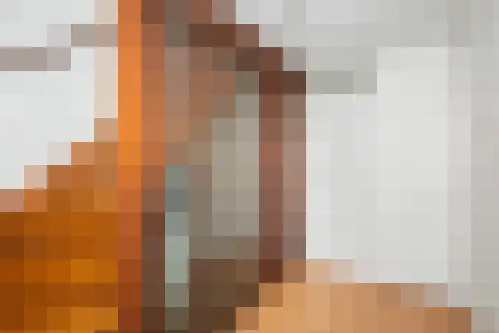 Van Vegtenplantsoen 7 Koudekerk aan den Rijn thumbnail 26