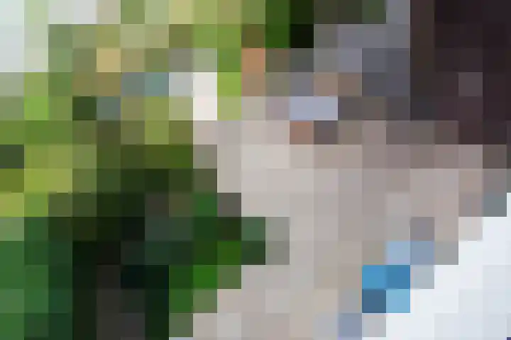 Van Vegtenplantsoen 7 Koudekerk aan den Rijn thumbnail 31