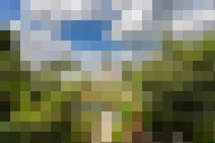 Van Vegtenplantsoen 7 Koudekerk aan den Rijn thumbnail 32