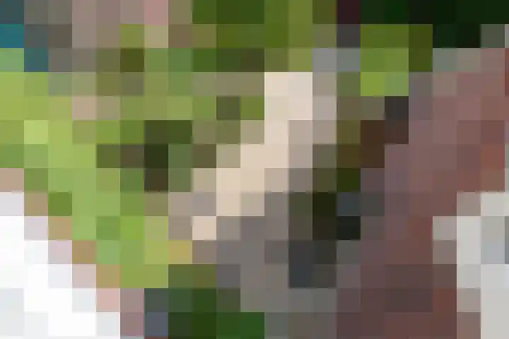 Van Vegtenplantsoen 7 Koudekerk aan den Rijn thumbnail 35