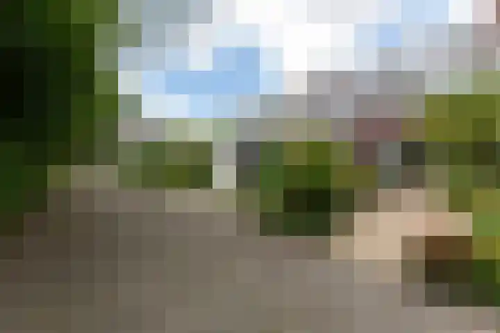 Van Vegtenplantsoen 7 Koudekerk aan den Rijn thumbnail 4