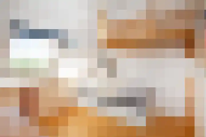 Van Vegtenplantsoen 7 Koudekerk aan den Rijn thumbnail 40